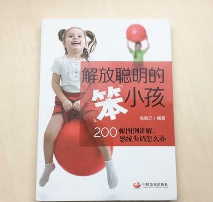 《解放聪明的“笨”小孩:200幅图例讲解,感统失调怎么办》